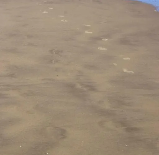 Turisticos Biarritz - Bloque I Lejlighed Gandía